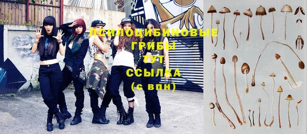 мескалин Пролетарск