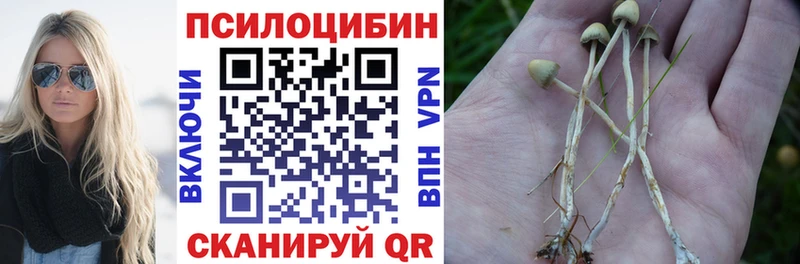 Псилоцибиновые грибы MAGIC MUSHROOMS  Купить закладки  Ардатов 